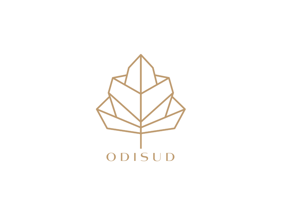 logo odisud